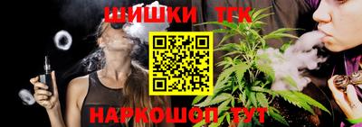 шишки Новокубанск