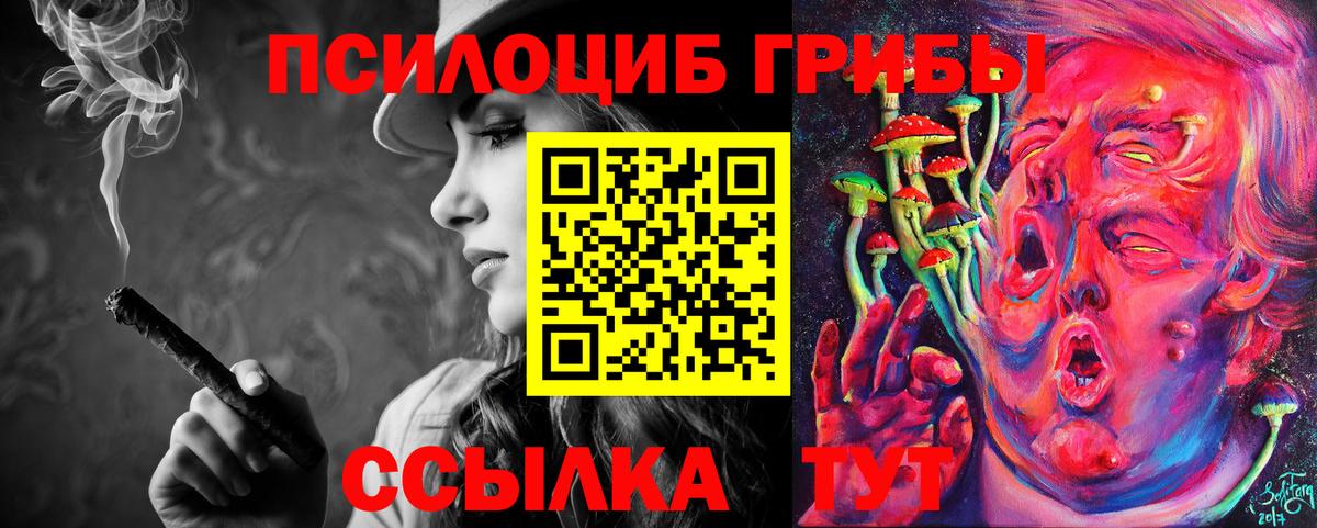 Псилоцибиновые грибы мицелий Строитель